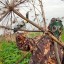 Мособлдума установила ответственность для юрлиц и граждан за невыполнение мероприятий по борьбе с бо